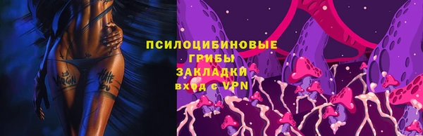 эйфоретик Елизово