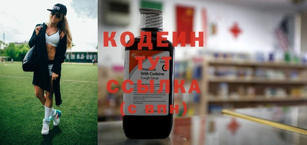 ешки Елабуга