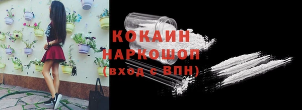 эйфоретик Елизово