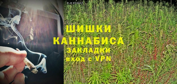 эйфоретик Елизово