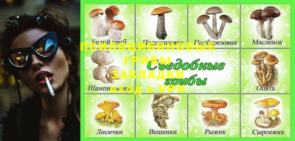 эйфоретик Елизово