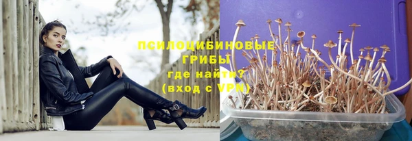 ешки Елабуга