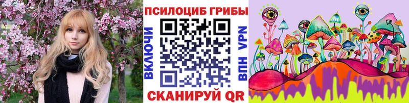 мега маркетплейс Калач Псилоцибиновые грибы Psilocybe наркотики