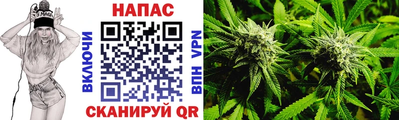 купить наркотики сайты  Калач  Шишки марихуана Bruce Banner 